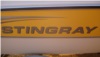 Stingray Boat Lettering Yellow